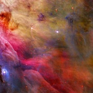 Meet your Posher, Cath